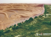 埋头苦干奋揖行丨新疆纵深推进三大重要领域生态治理