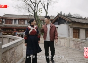 时政现场说丨丽江古城！我该怎么 读懂 你