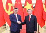 习近平同越共中央总书记苏林举行会谈
