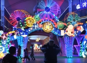 2020南京 花灯迎春 - 南京夜生活网