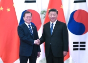 习近平会见韩国总统文在寅 - 南京夜生活网
